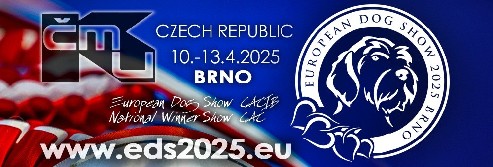 eds-brno-2025.jpg