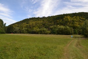 dsc_0765.jpg