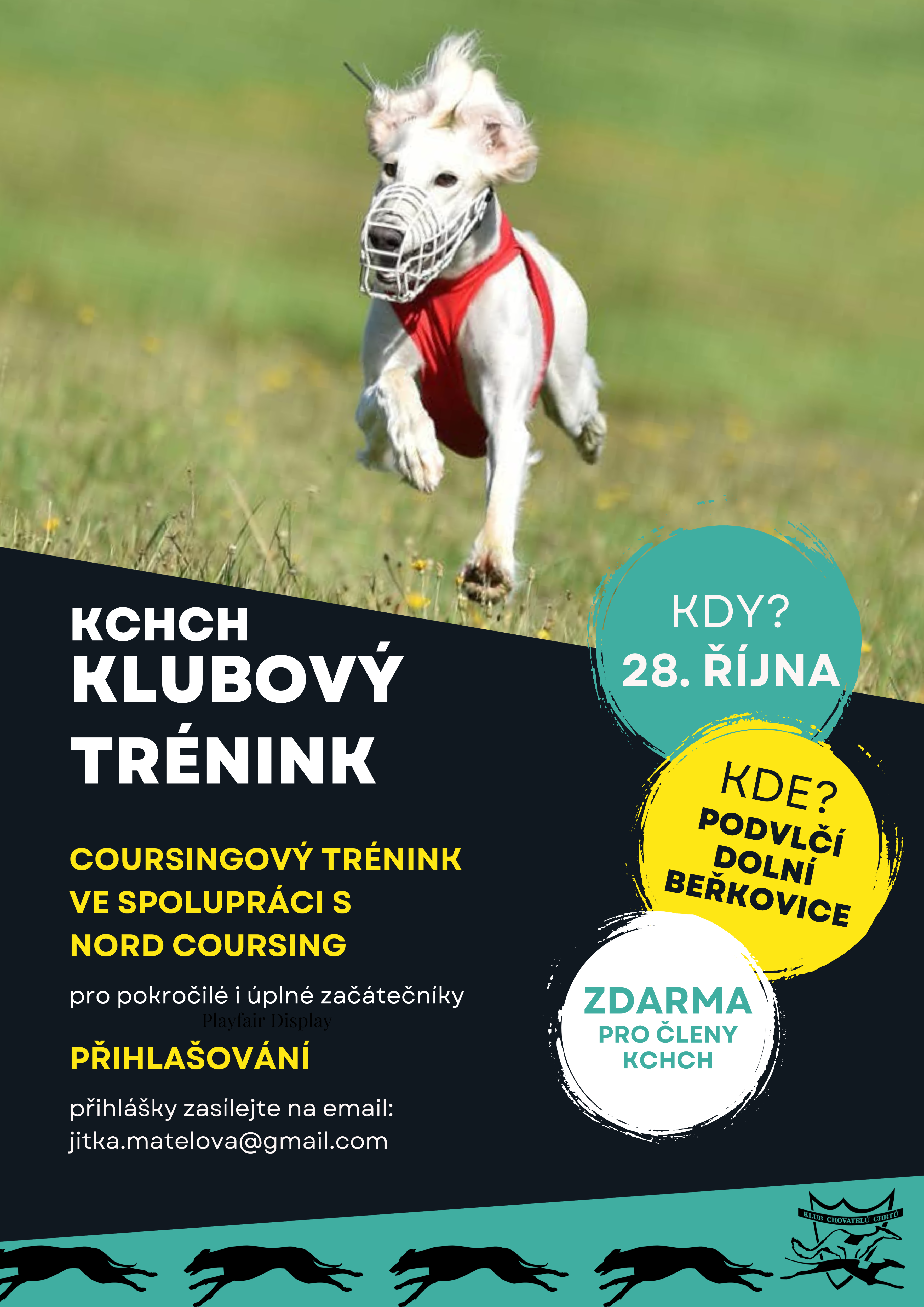 klubovy-trenink4.png