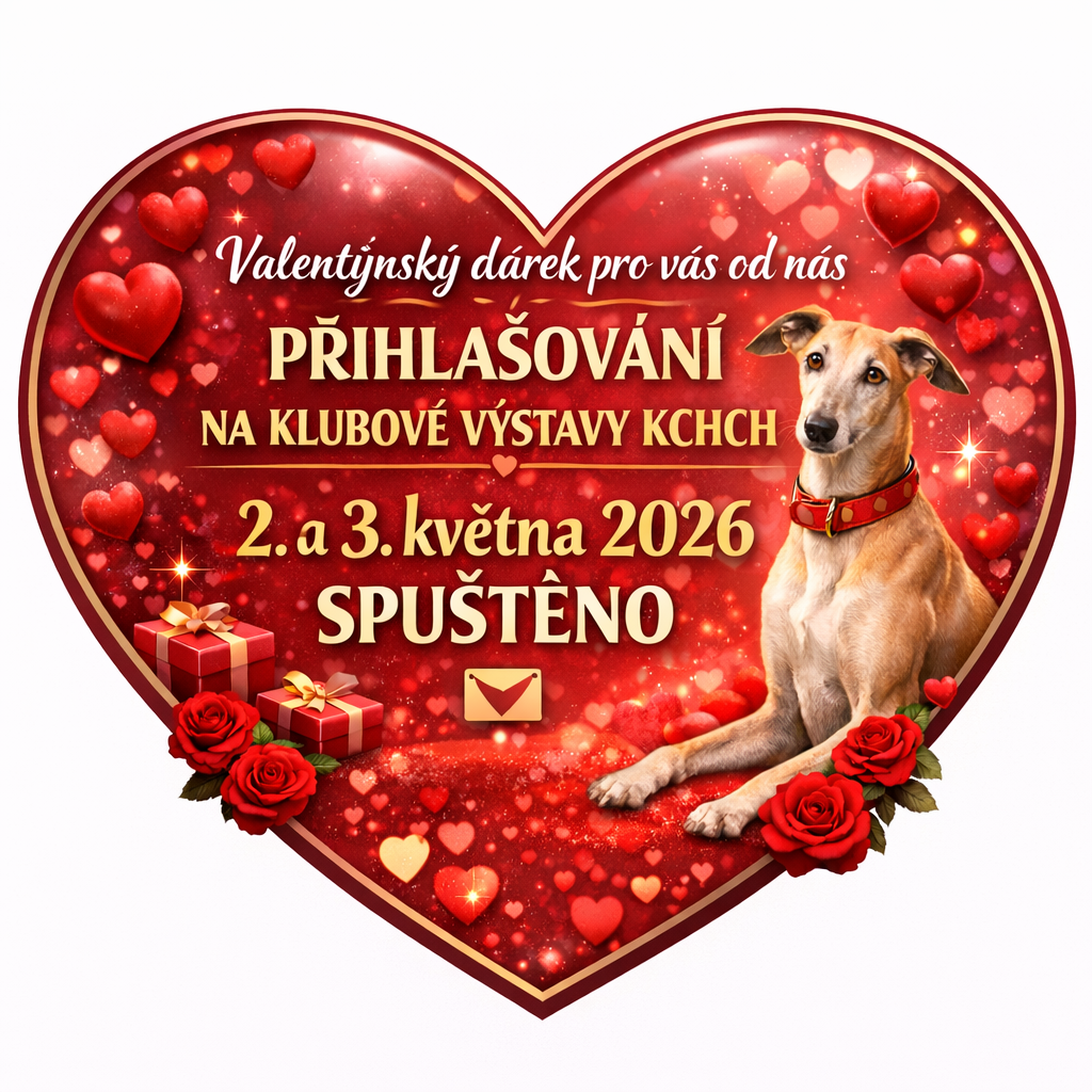 valentynske-prihlasovani..png